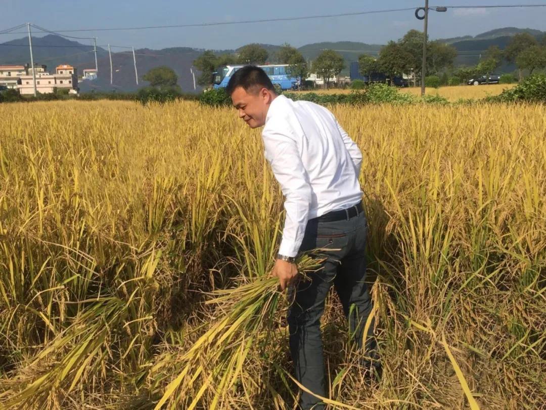 謝沃根積極參與鄉村建設，保護與開發舊村落，帶動村民增收致富，助力鄉村振興