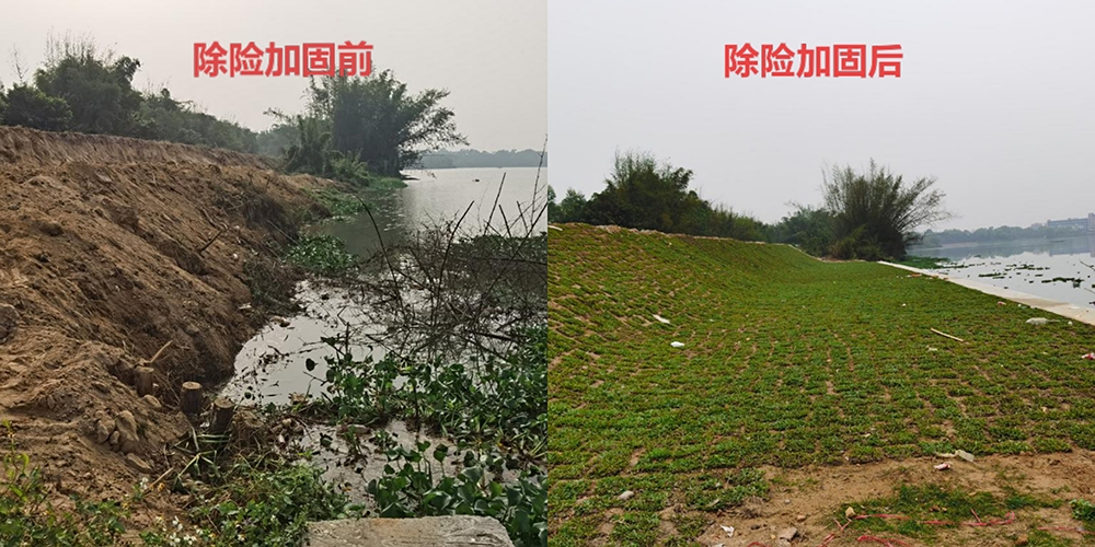 5百合鎮新盛堤除險加固前后對比.jpg