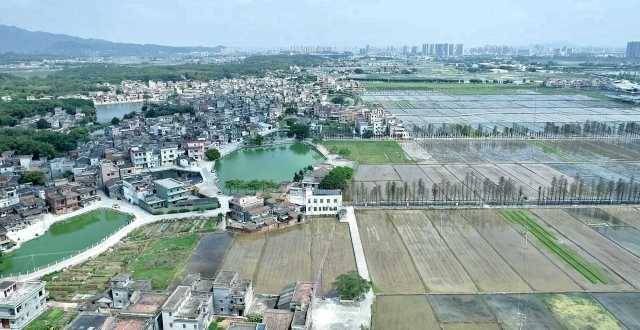 從長沙街道西溪村上空俯瞰，遠處青山疊翠、高樓聳立，近處屋舍儼然，池塘星羅棋布，農田成方連片