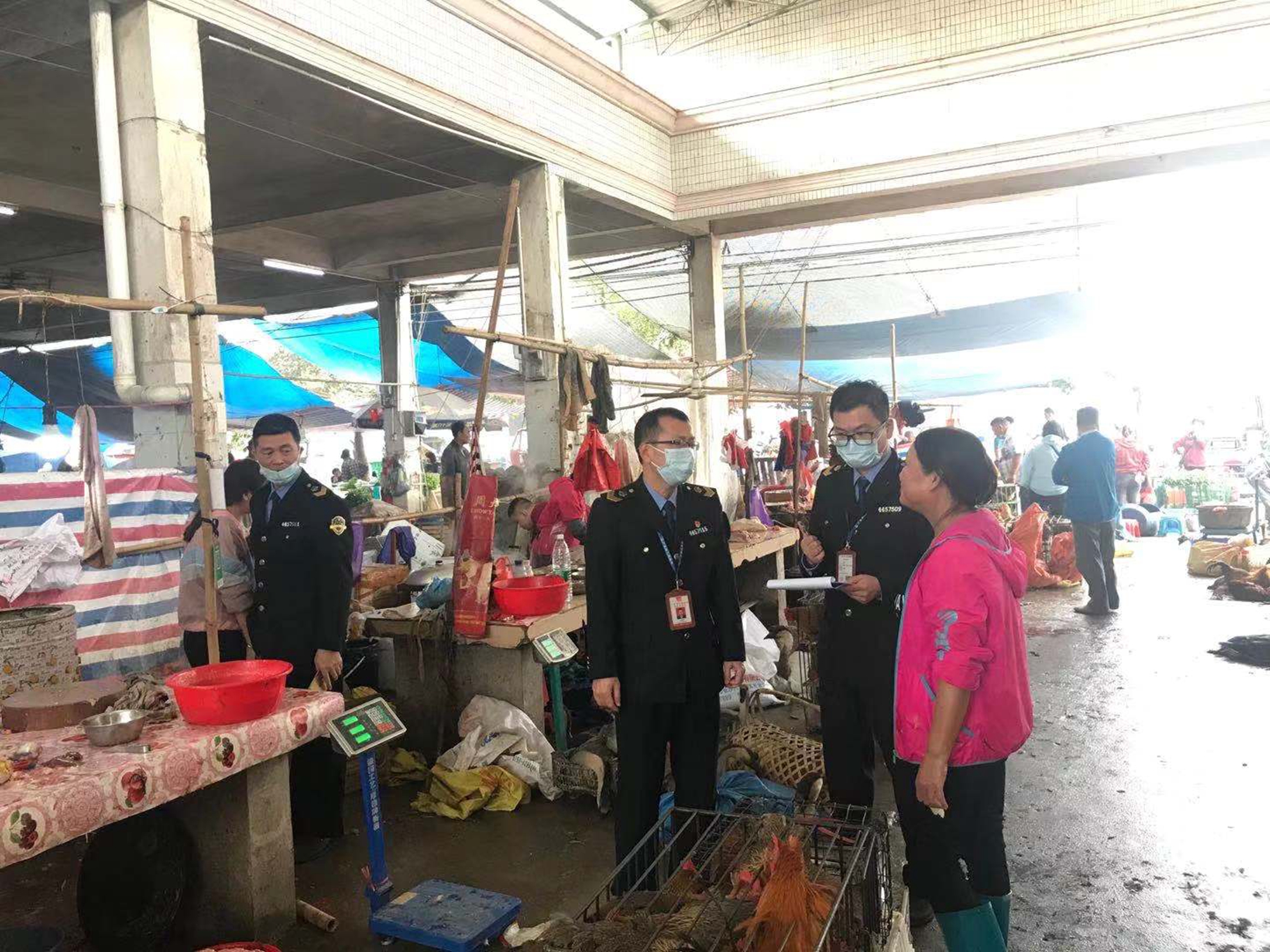 吳副局長帶隊嚴查禽肉類食品集貿市場1.jpg
