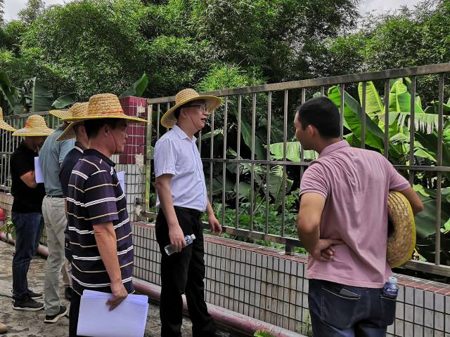 鎮總河長關華俊參加鎮海水干流沙塘段綜合治理工程前期調研督導工作