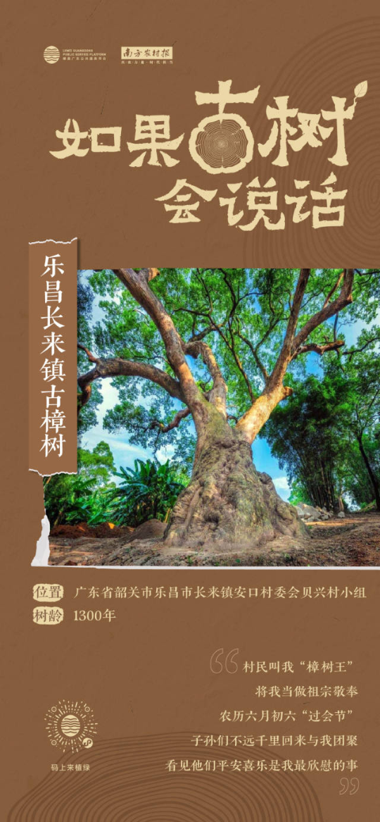 南方農村報 李嘉鎵 制圖