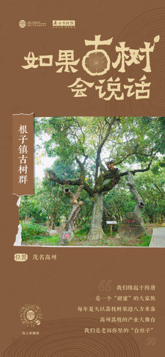 南方農村報 李嘉鎵 制圖