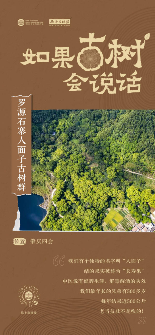 南方農村報 李嘉鎵 制圖