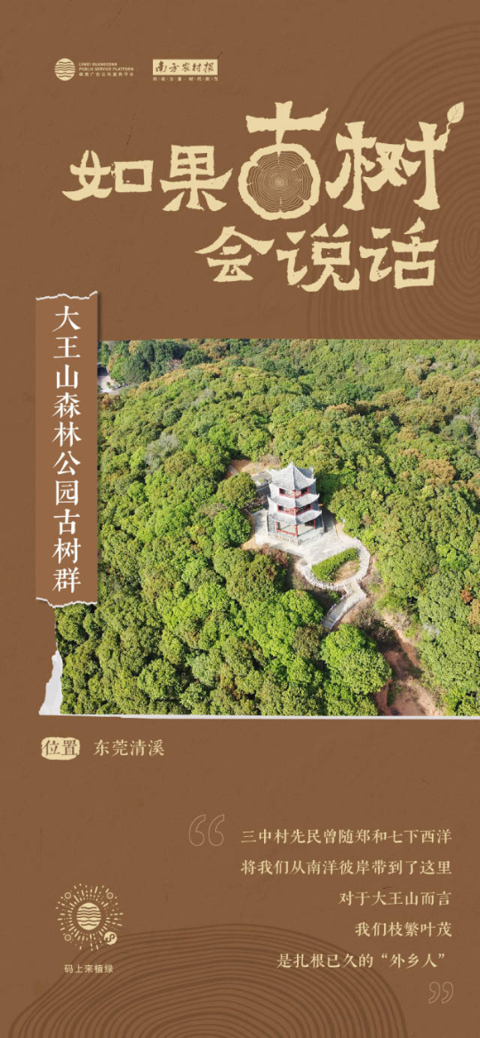 南方農村報 李嘉鎵 制圖