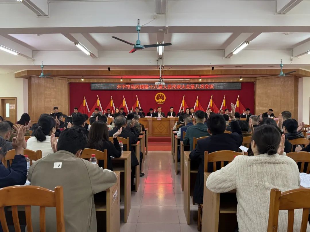 接續奮進新征程 篤行不怠譜新篇——馬岡鎮第十八屆人民代表大會第八次會議勝利召開 border=