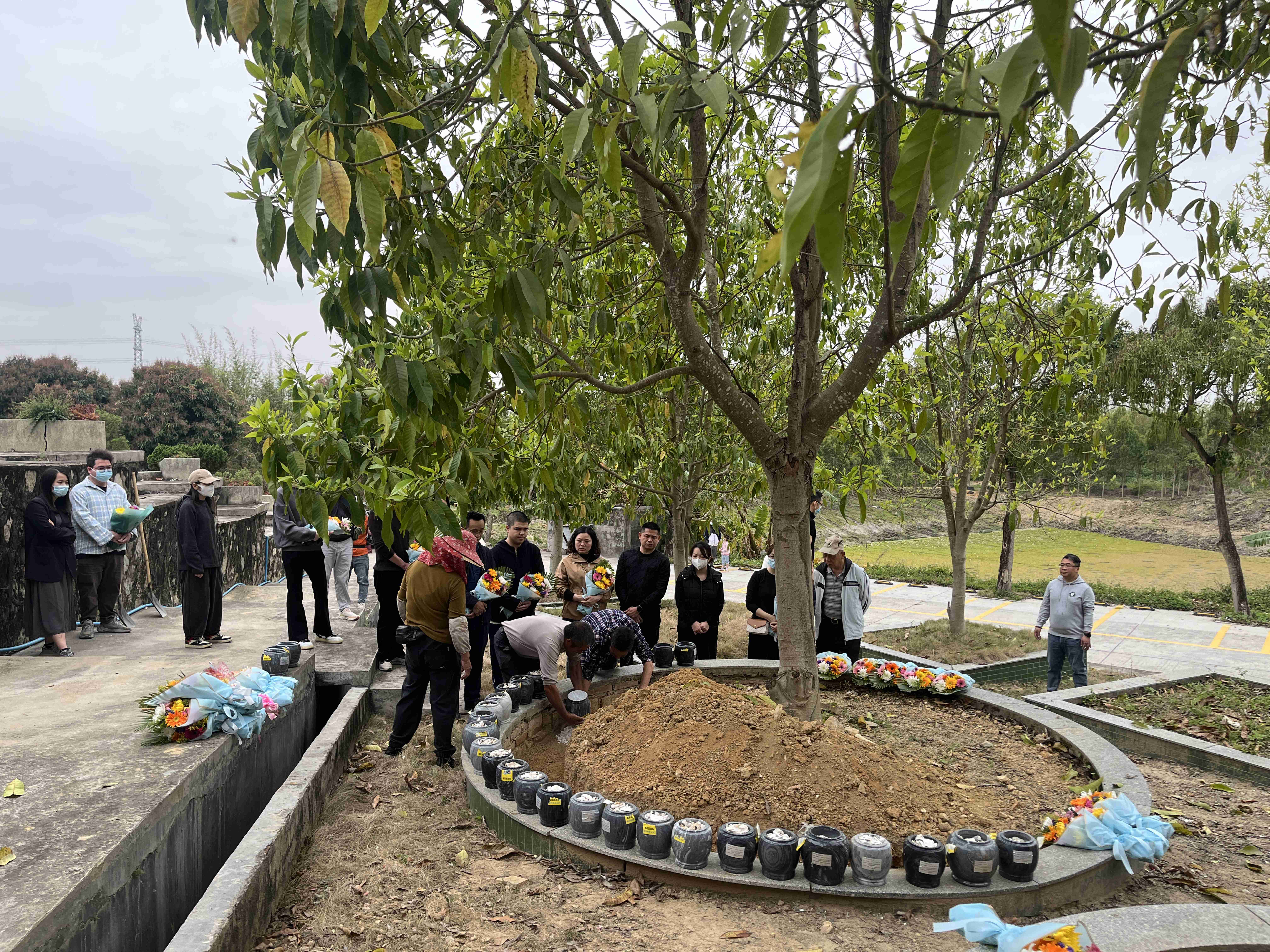 2025-04-04 100957_new.jpg