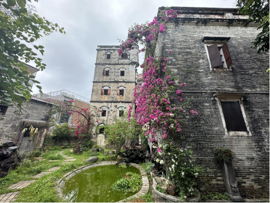開平市塘口鎮碉樓下的“美麗庭院”——奇石館的故事