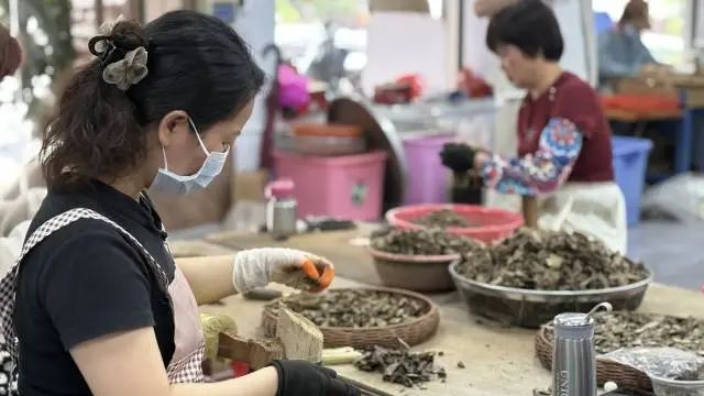 沉香加工利用。