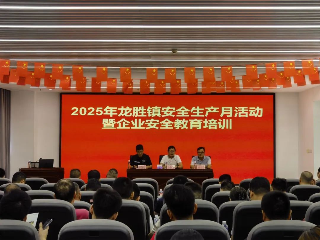 培訓+演練+宣傳+整治！龍勝鎮“四維聯動”筑牢安全防線，扎實開展“安全生產月”系列活動