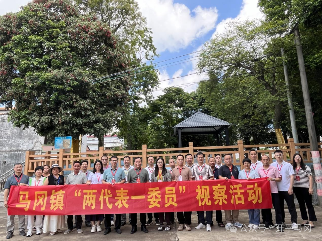 深入一線督項目 集智聚力促民生——馬岡鎮開展第二季度“兩代表一委員”集中視察活動 border=