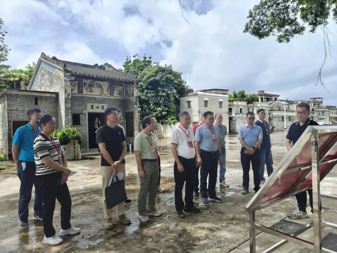 開平市人大常委會視察赤坎鎮“百村示范、千村提質”綠化行動建設成效