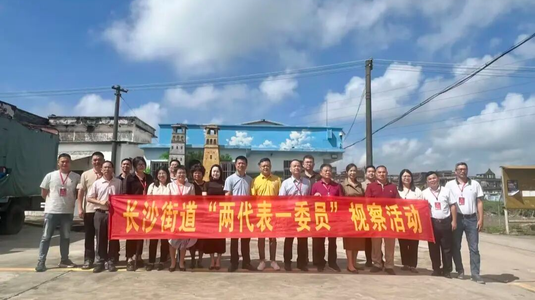 年中督進度，監督民生實事見實效——長沙街道“兩代表一委員”開展民生實事監督活動