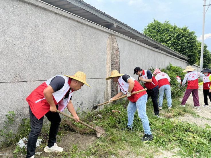開平市農業農村局：百名干部職工沖鋒在前 筑牢基孔肯雅熱疫情防控防線