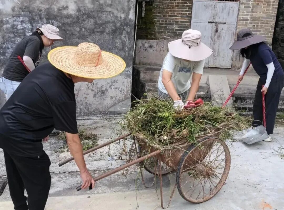 月山鎮聚力攻堅 持續開展防蚊滅蚊愛國衛生行動