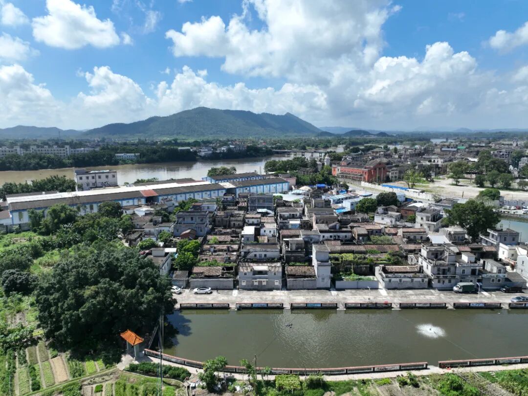 赤坎鎮永堅村：古鎮鄰里的“三年蝶變”