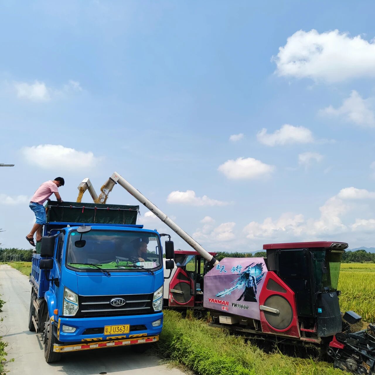 【中國農民豐收節】龍勝鎮“新農人”典型代表展播（第二期）