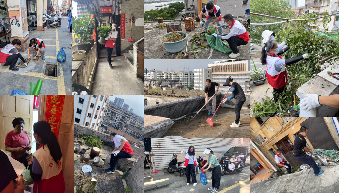 黨員下沉齊攻堅 改善環境顯擔當——市財政局助力包干社區打贏基孔肯雅熱防控阻擊戰