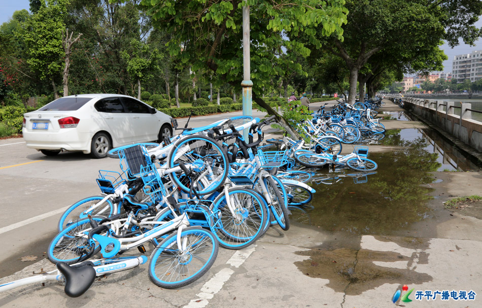 0-4 2H3A6542 - 副本 逕頭海旁共享單車亂堆放.jpg 0-4 2H3A6542 - 副本 逕頭海旁共享單車亂堆放.jpg